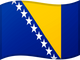 Flag 8