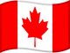 Flag 10