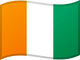 Flag 13