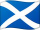 Flag 48