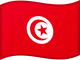 Flag 41
