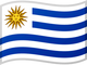 Flag 43